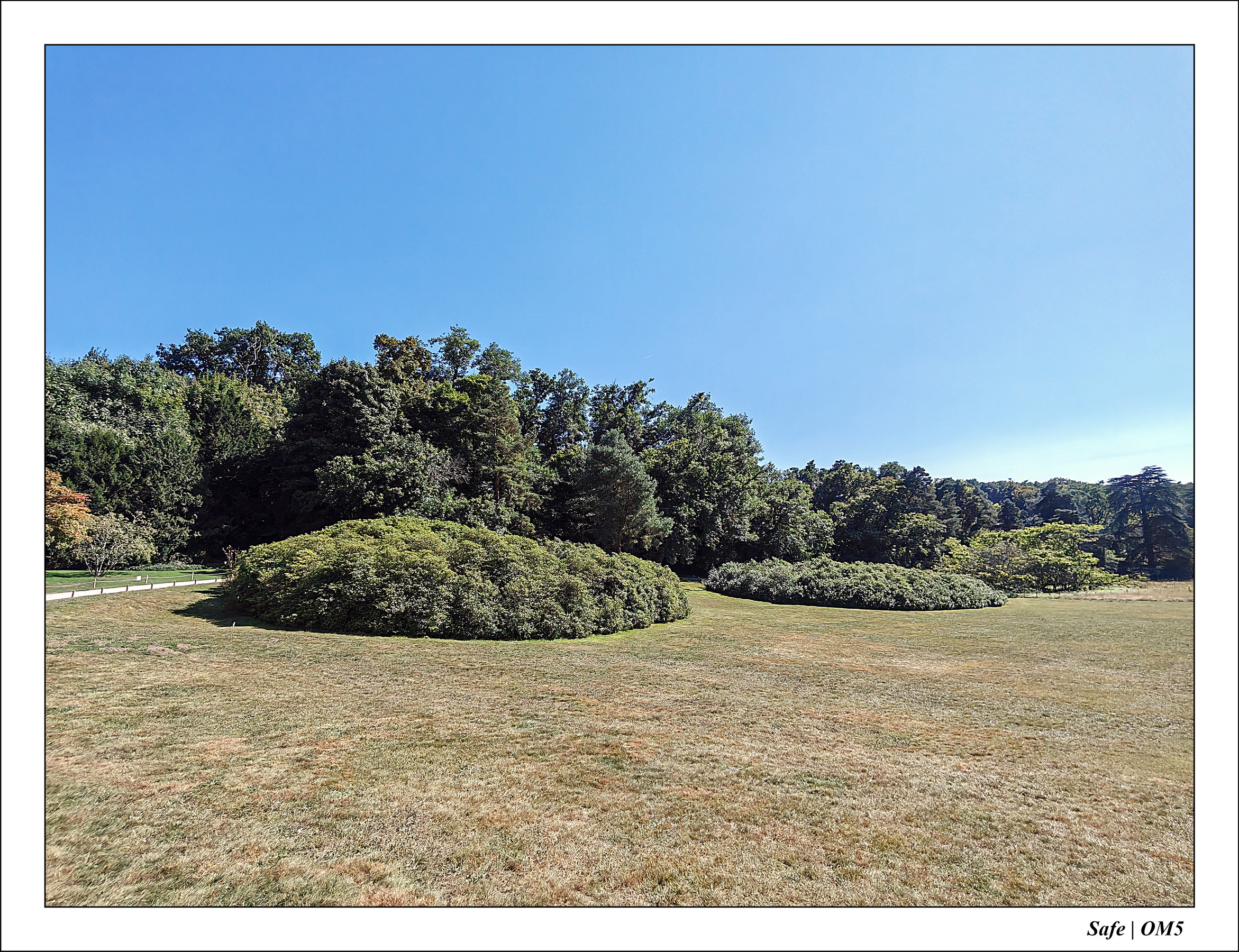 2025 - 08 - Vallée des loups - 40